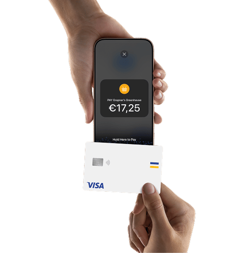 Pay-TTPOI-VISA-4